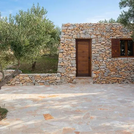 Mario Дом отдыха